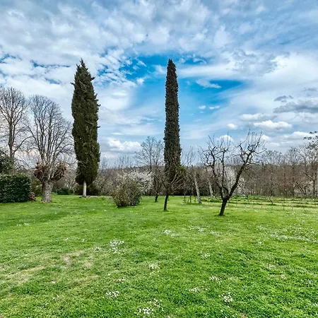 Loft Con Vigna Sui Colli Bolognesi - Villa Govi Pancaldi San Lazzaro di Savena Exterior photo