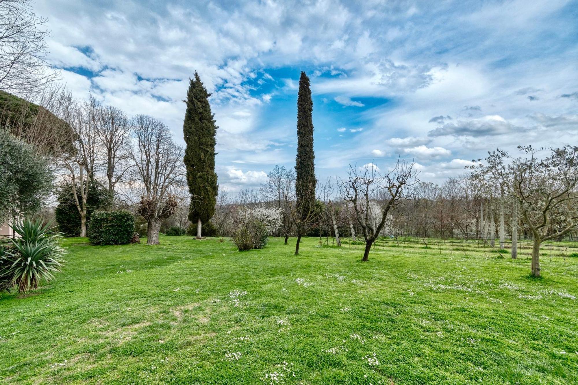 Loft Con Vigna Sui Colli Bolognesi - Govi Pancaldi Holiday home