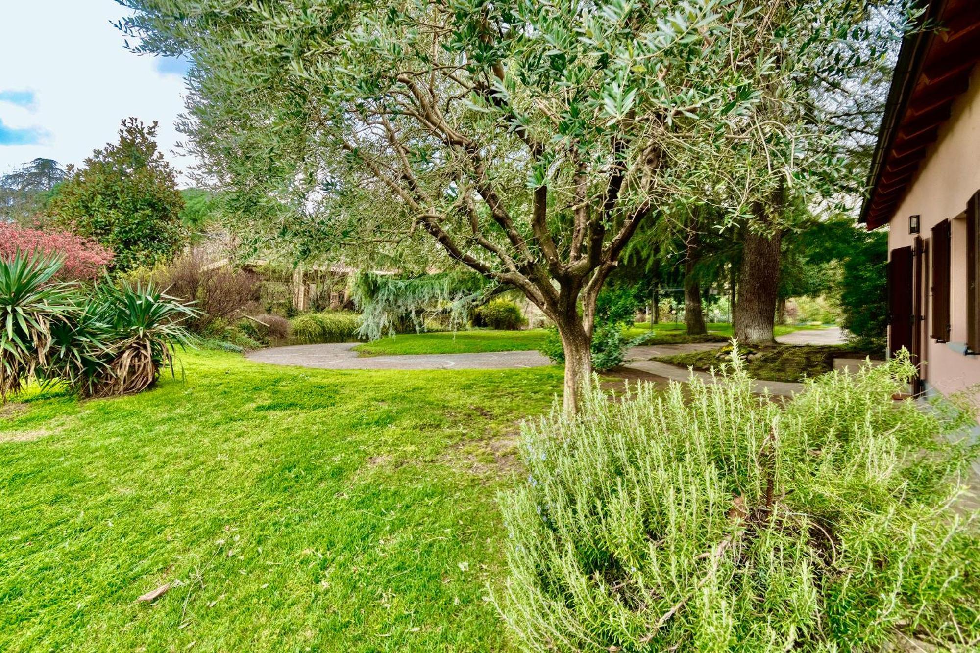 Loft Con Vigna Sui Colli Bolognesi - Govi Pancaldi Holiday home *